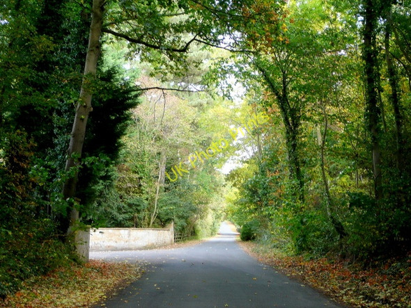 Photo 6"x4" Leafy lane by the entrance to Toddington Manor Toddington\/SP0332 c2009