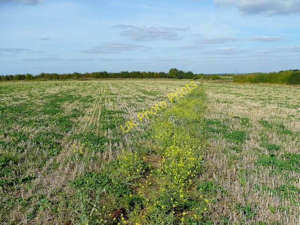 Photo 6"x4" Footpath to Wormington Toddington\/SP0332 c2009