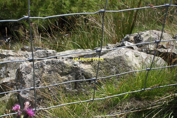 Photo 6"x4" Benchmark on ruined wall at Birk Shaw White Shaw Moss c2011