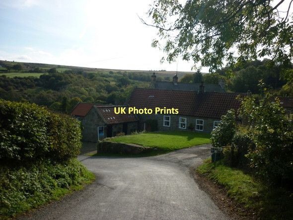 Photo 6"x4" Delves Lane at The Delves Key Green\/NZ8004 c2011