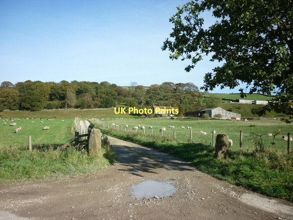 Photo 6"x4" The entrance to Park House farm Houlsyke c2011