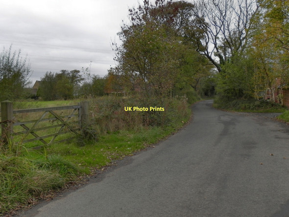 Photo 6"x4" Lily Lanes Mossley\/SD9701 c2011