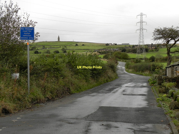 Photo 6"x4" Lily Lanes Mossley\/SD9701 c2011 P1