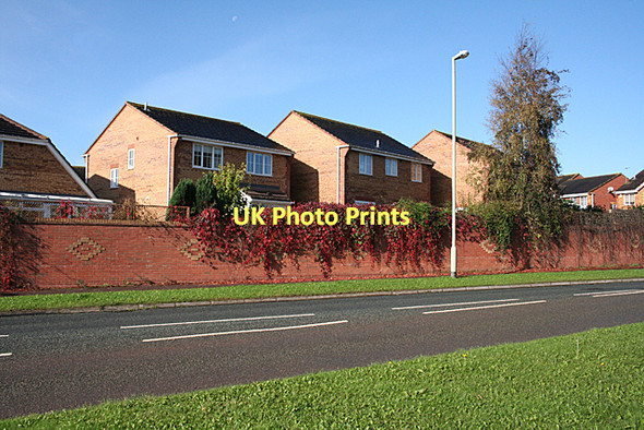 Photo 6"x4" Cullompton: Swallow Way Colebrook c2011