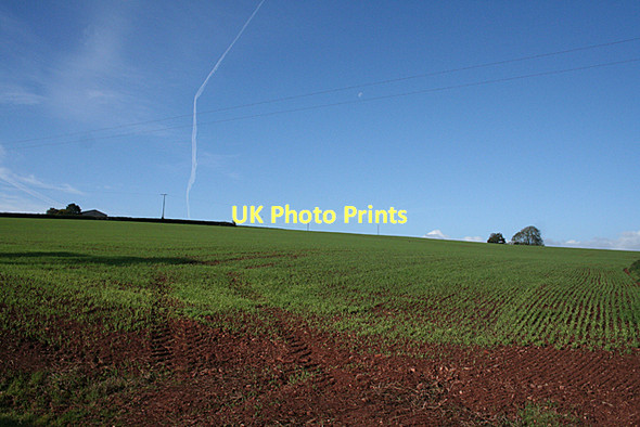 Photo 6"x4" Cullompton: new crop Colebrook c2011