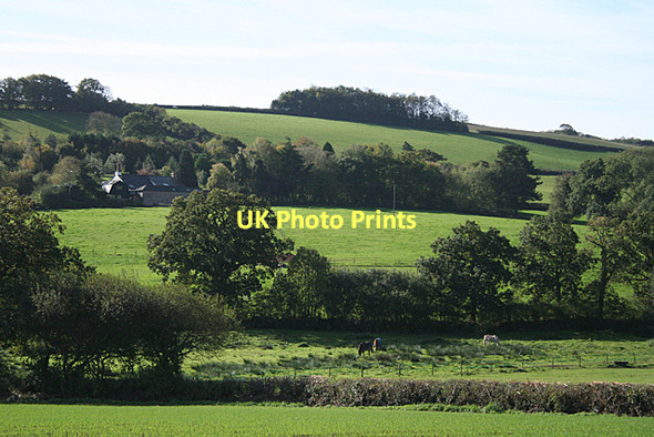 Photo 6"x4" Bradninch: below Higher Bagmore Colebrook c2011