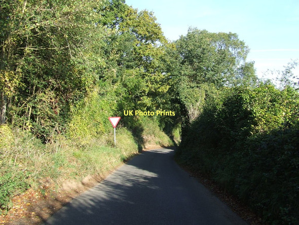 Photo 6"x4" Maple Hill Chilton Street c2011
