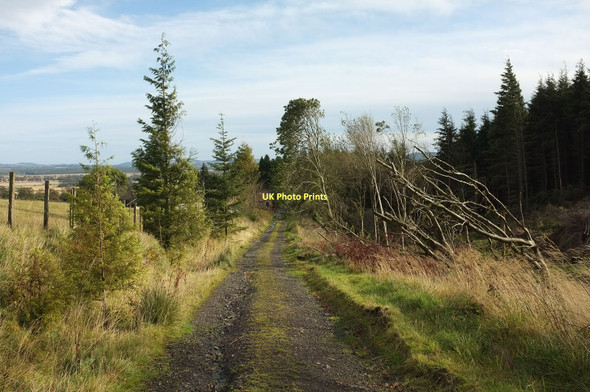 Photo 6"x4" Track west of Westfield Falkland c2011