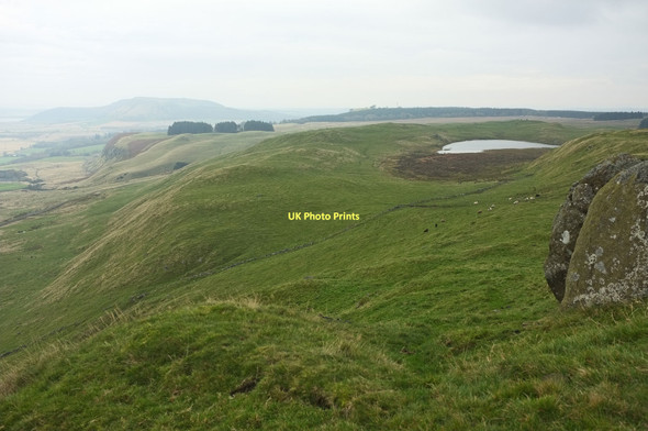 Photo 6"x4" Gully on north side of Dummiefarline fort Cleish c2011