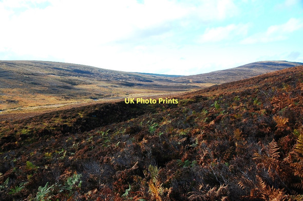 Photo 6"x4" Heather moorland Ardachu c2011