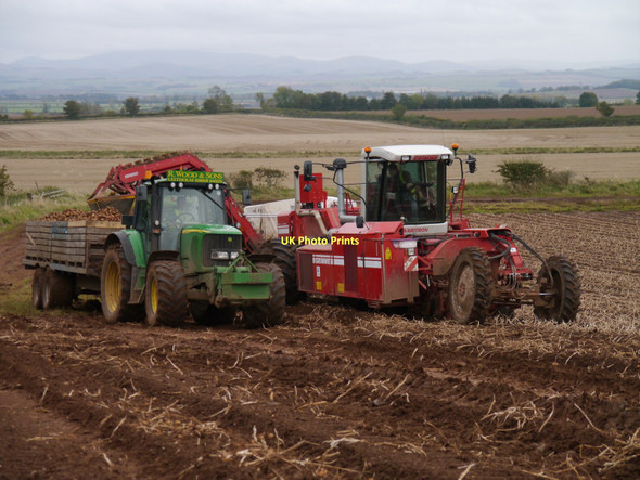 Photo 6"x4" Potato Harvesting Near Inkbottle Lodge Lambden c2011