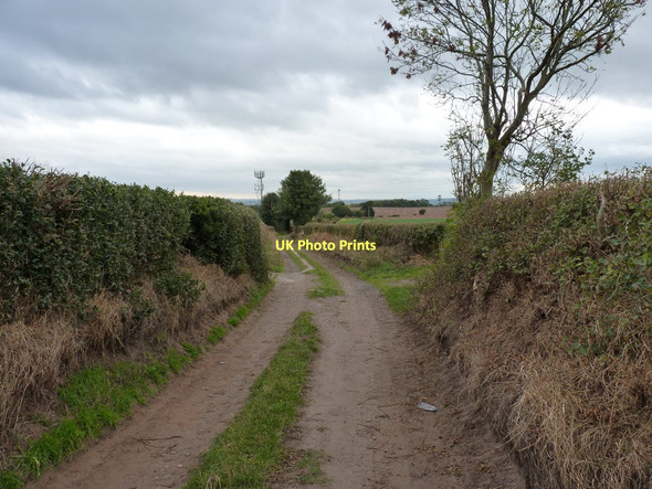 Photo 6"x4" The bridleway heading towards Bearnett Farm Lower Penn c2011