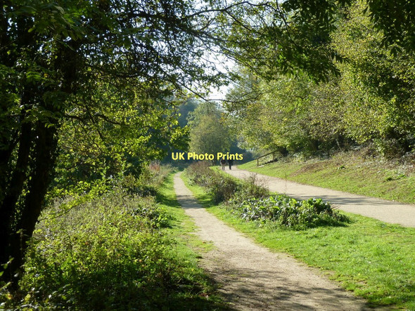 Photo 6"x4" Track by Creswell Crags Creswell\/SK5274 c2011