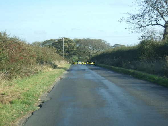Photo 6"x4" Short Lane towards Bempton Buckton\/TA1872 c2011