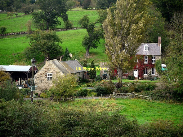 Photo 6"x4" Bank Foot Hexham c2011