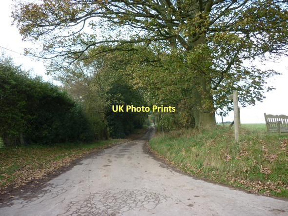 Photo 6"x4" Sleights Road off Westside Road Lowna c2011