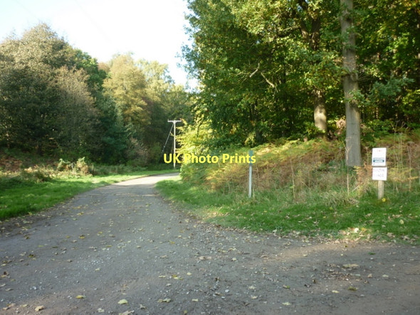 Photo 6"x4" A path leading to Carton Grange Carlton\/SE6086 c2011