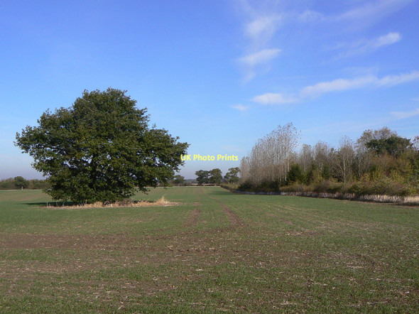 Photo 6"x4" Near Hill Farm Stanton-on-the-Wolds c2011
