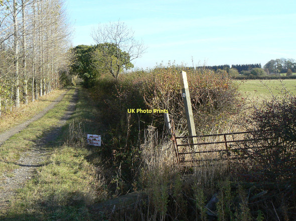 Photo 6"x4" Track and footpath Stanton-on-the-Wolds c2011
