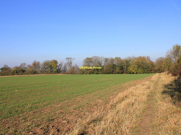 Photo 6"x4" Small nameless wood on footpath to Radford Semele Harbury c2011