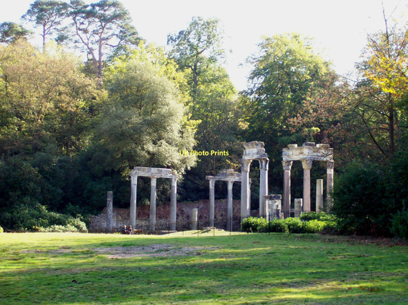 Photo 6"x4" Leptis Magna Shrubs Hill c2011