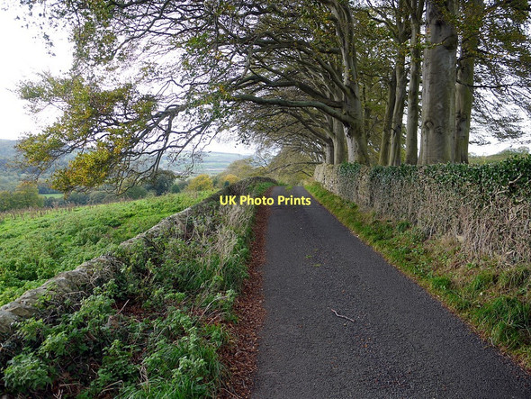 Photo 6"x4" Minor road near Target House Hexham c2011