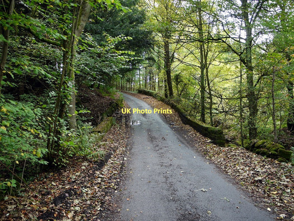 Photo 6"x4" Minor road crossing Birkey Burn, east of Target House Hexham c2011
