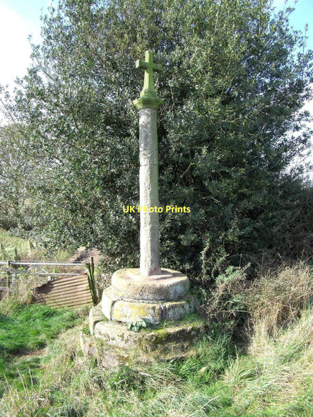 Photo 6"x4" Butter Cross Churnet Grange c2011