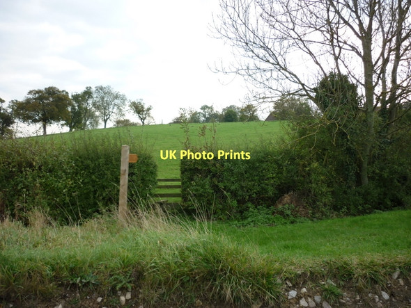 Photo 6"x4" A path to Edstone Hill Great Edstone c2011