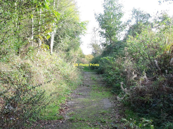 Photo 6"x4" Footpath to Fynneylane Cheddleton Heath c2011