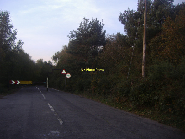 Photo 6"x4" Burma Road, Longcross Longcross\/SU9865 c2011