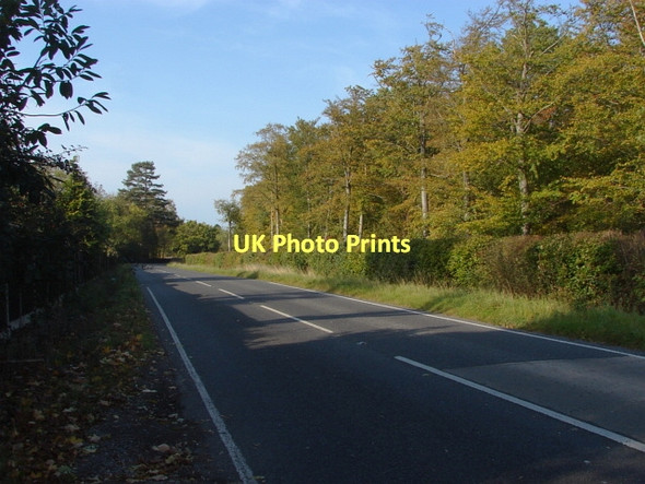 Photo 6"x4" Drift Road Winkfield Place c2011