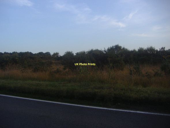 Photo 6"x4" Heathland by Chertsey Road, Longcross Brick Hill\/SU9564 c2011 P1
