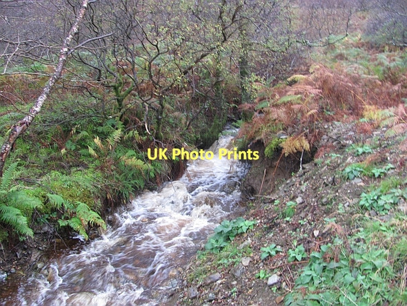 Photo 6"x4" Allt Beith Ballymichael c2011