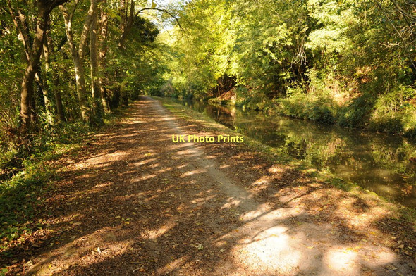 Photo 6"x4" Kennet and Avon Canal near Freshford Winsley\/ST7960 c2011