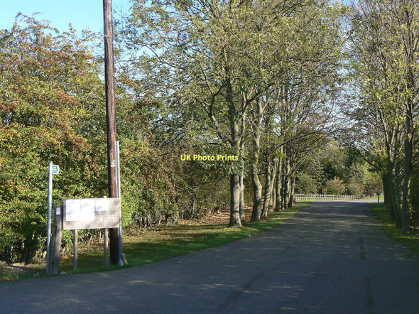 Photo 6"x4" Driveway to Hill Farm Stanton-on-the-Wolds c2011