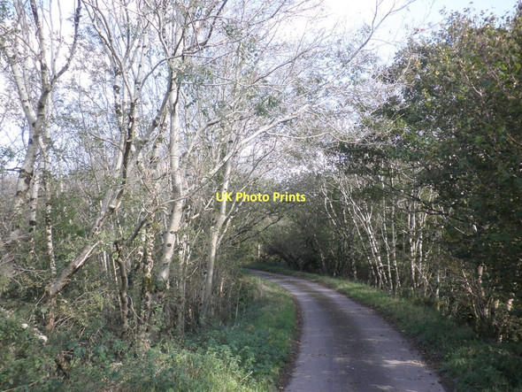 Photo 6"x4" Former trackbed, Lynton and Barnstaple Railway Knightacott\/SS6439 c2011