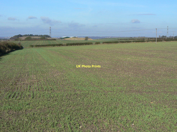 Photo 6"x4" Plumtree Wolds Normanton-on-the-Wolds c2011