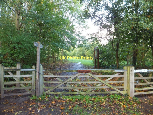 Photo 6"x4" Tarvin Community Wood Tarvin c2011