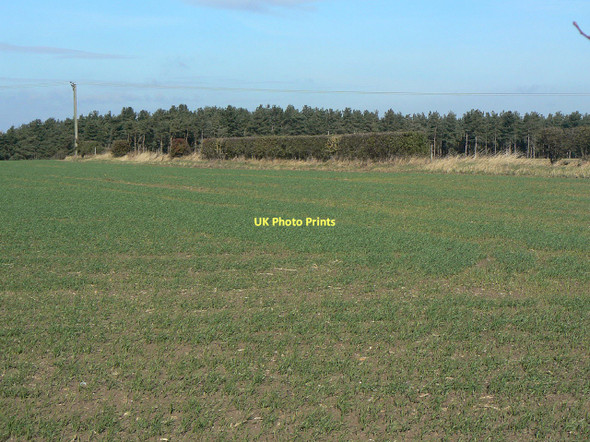 Photo 6"x4" View towards Cotgrave Forest Clipston\/SK6334 c2011