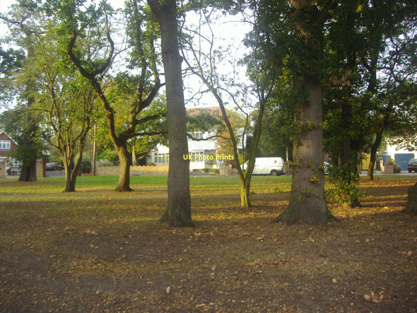 Photo 6"x4" Green on Manor Gardens, Hampton Teddington\/TQ1670 c2011