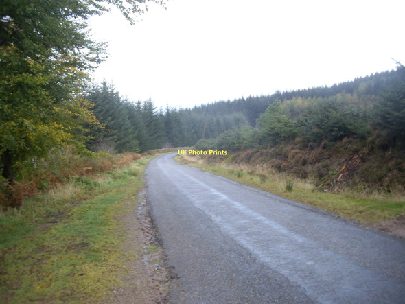 Photo 6"x4" Road to Inchloan Calladrum c2011