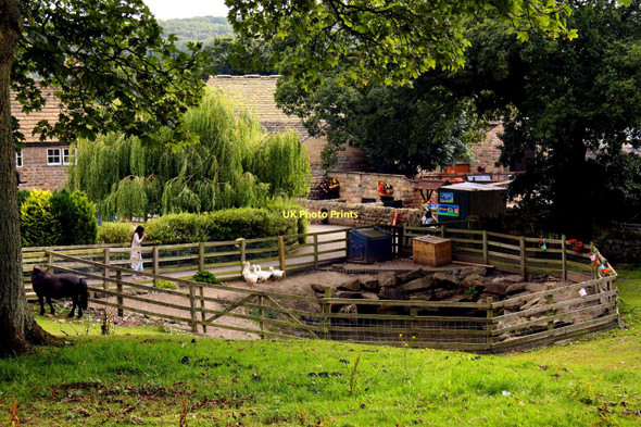 Photo 6"x4" St Leonards Farm Park in Esholt Yeadon c2011
