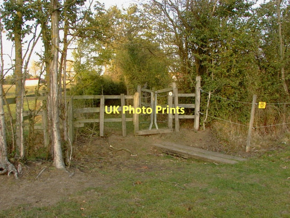 Photo 6"x4" Footpath gate Cranbourne\/SU9272 c2011