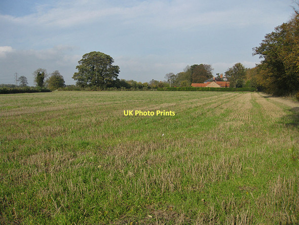 Photo 6"x4" Farmland, western fringe of Malton Malton\/SE7871 c2011