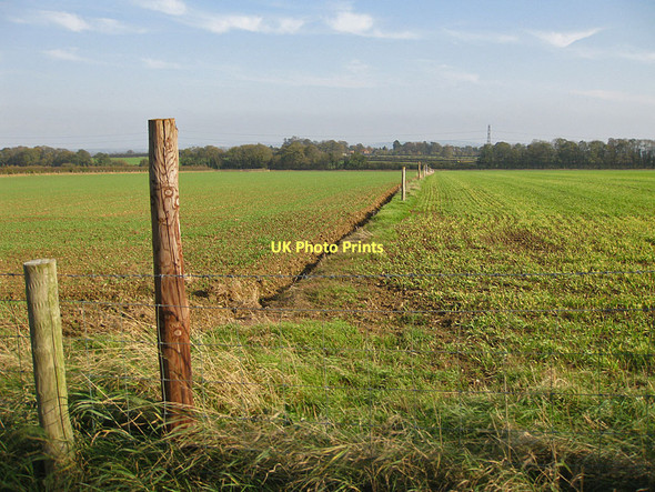 Photo 6"x4" Fence line, looking towards Long Plantation Malton\/SE7871 c2011