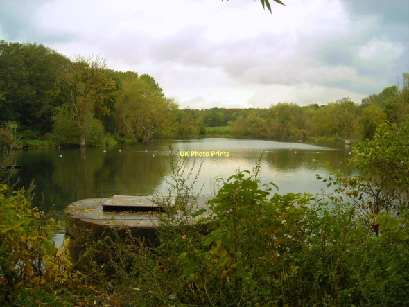 Photo 6"x4" Willows Reservoir, Swan Washington\/NZ3157 c2011