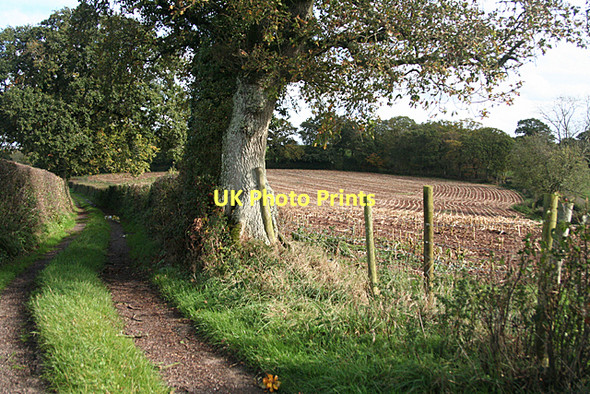 Photo 6"x4" Broadclyst: College Lane Clyst St Lawrence c2011
