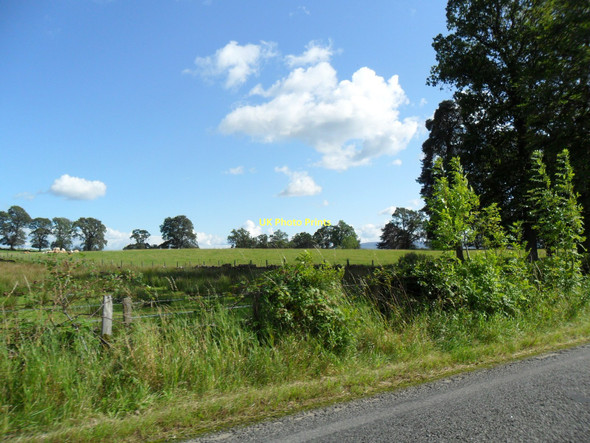 Photo 6"x4" Fields on A81 near Blairhoyle Port of Menteith c2011