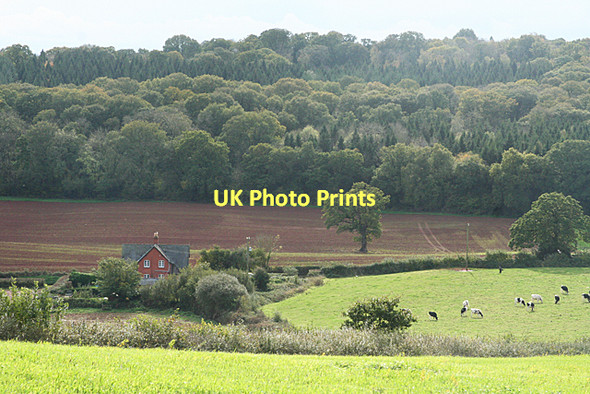 Photo 6"x4" Broadclyst: towards Brook Hill Hollis Head c2011